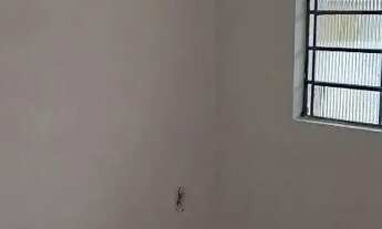 Imagem 2: Casa com 1 dormitório para alugar, 80 m² por R$ 850,00/mês - Cidade Satélite Santa Bárbara