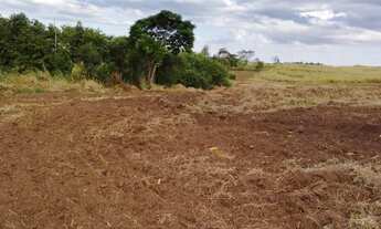 Imagem 2: Vendo sitio 7 alqueires escriturado pronto pra plantio próximo usina