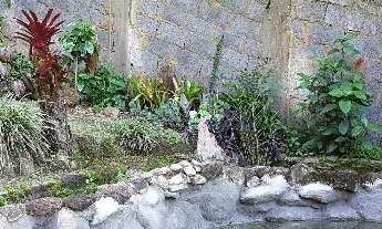 Imagem: Direto dono Chalé aconchegante perto do