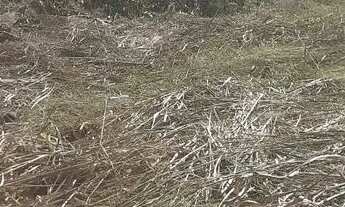 Imagem 6: TERRENO EM CONDOMINIO