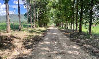 Imagem: Oportunidade 190 alqueires na beira do asfalto!