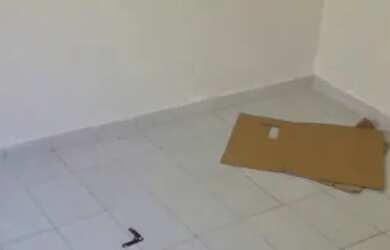 Imagem 4: CENTENÁRIO - CASA INDEPENDENTE COM GARAGEM