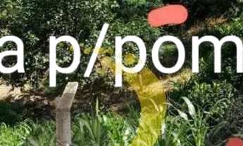 Imagem 4: CHÁCARA IGARATÁ - GRANDE TERRENO A VENDA TENDO 3.854 m2 COM LINDA PORTARIA