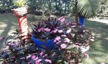 Imagem 4: Chácara, Nazaré Paulista