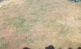 Imagem 6: Chácara Chácara com venda por R$230.000