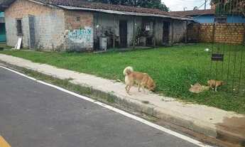 Imagem 3: Vendo kitnets Casa com 5 dormitórios