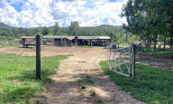 Imagem 4: Oportunidade 190 alqueires na beira do asfalto!