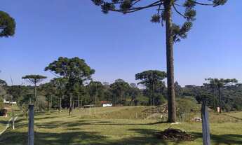 Imagem: Paraíso do sul