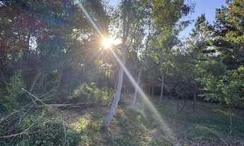 Imagem 7: Sítio com casa em Taquara - lareira e galpão de pedra com escritura