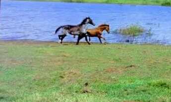 Imagem 2: Lote..Icém oportunidade