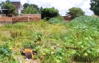 Imagem 7: Terreno em rua pública, no Bairro América. (Vizinho a empresa Limpa fossa Moderna