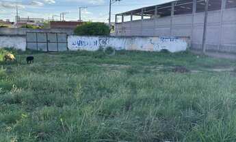 Imagem 4: Terreno nas margens da BA:052 ao lado da coubale