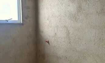 Imagem 2: Casa em Condomínio para Venda em São Gonçalo, Maria Paula, 3 dormitórios, 3 suítes, 3 banh