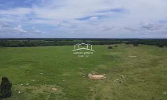 Imagem 3: EXCELENTE FAZENDA DE PLANTIO DE BANANA E PECUARIA NO NORTE DE MINAS