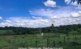 Imagem 4: Sítio Chácara 20.000m2 Aceito Carro e Casa Artur Nogueira Rico em Água Fundos Poquinha