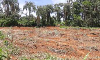 Imagem 2: Sitio 1,5 alq Tabatinga SP