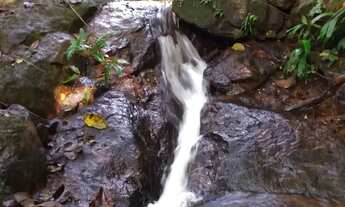 Imagem 6: SITIO EM MADALENA COM CACHOEIRA PARTICULAR
