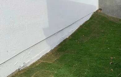 Imagem 6: Casa 3 quartos no bairro Cachoeira do Bom Jesus Florianópolis