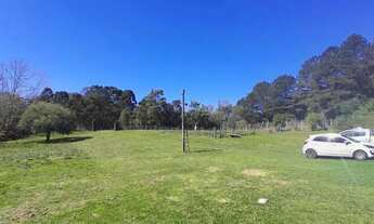 Imagem 4: Area - Bairro Tapera