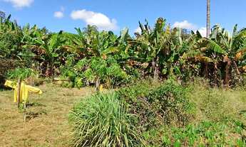 Imagem 6: Sitio/Água de Rio,Poço Artesiano,Casa Com 4 Quartos,Curral/Escriturado.