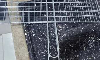 Imagem 4: Passo Ponto na Barreira do Vasco