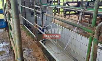 Imagem 2: Chácara 9,5 alqueires (46 hectatres) Trindade - Go