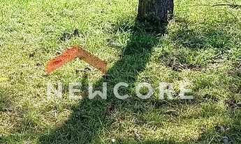 Imagem 1: Lote em Estrada elias ficher - palmeirinha - Juquitiba/SP