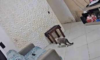 Imagem: VENDE-SE IMÓVEL NO DISTRITO (D