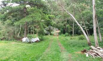 Imagem 3: Terreno com 11481m² localizado no Bairro Fazenda Pirajá em Nova Petrópolis