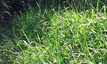 Imagem 3: Lote em condomínio em Alameda Alemanha - Granja Viana - Carapicuíba/SP