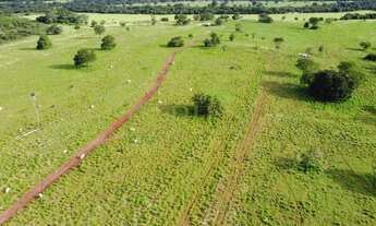 Imagem 4: Fazenda à venda em Itarumã, Setor Central, com 1 quarto, com 87 hectares
