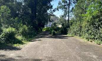 Imagem 5: Excelente área comercial, bairro Scharlau. RS 250