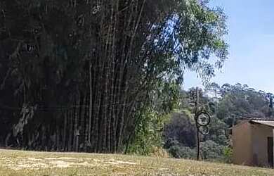 Imagem 3: Lotes para venda tem 500 metros quadrados em Vila São Domingos - São Roque - SP