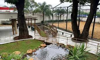 Imagem 4: Imóvel para venda tem 80 metros quadrados com 3 quartos em São Francisco - Goiânia - GO