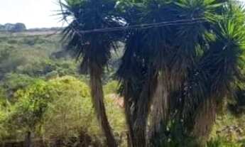 Imagem 7: Sítio na melhor região de Itatiaiuçu!