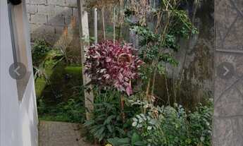 Imagem 3: Vvendo casa no bairro Grama 180 mil