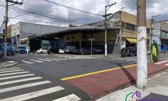 Imagem 6: TERRENO - BRÁS - SP