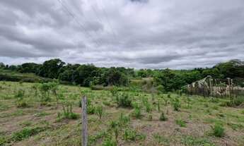 Imagem 2: Terreno de 1000 metros, 20 de frente por 50 comprimento, vendo ou troco
