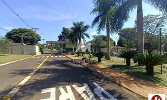 Imagem: Casa (térrea em condominio) 4 dormitórios/suite