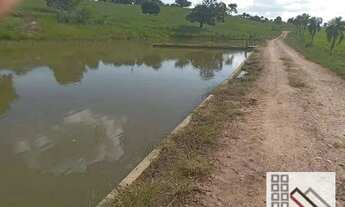 Imagem 3: FAZENDA (170 hectares), CASA SEDE EXCELENTE. COMPLETA INFRAESTRUTURA PARA OPERAÇÃO E PRODU