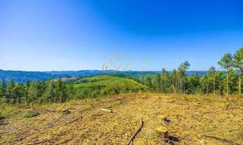 Imagem 2: Campo Largo, à 6 km do asfalto, 111 alqueires, ou 269 hectares , 38 Alqueires Própria Refl