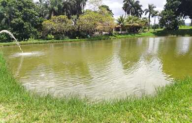 Imagem 4: Fazenda em Guapó