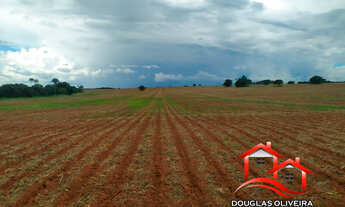 Imagem 5: Fazenda Na Região De Patos De Minas / MG