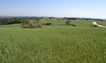 Imagem 4: Sorocaba Região 17.25 Alqueires (Ocasião