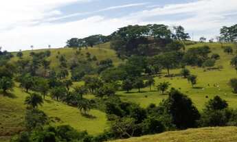 Imagem 2: Fazenda Top 187 Alqueires - Morrinhos