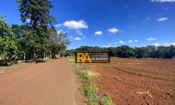 Imagem 3: Terreno à venda, 250 m² por R$ 141.250,00 - Loteamento Jequitibá - Foz do Iguaçu/PR