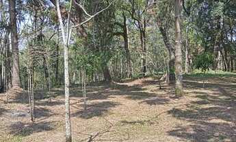 Imagem 3: Chácara em Mairinque