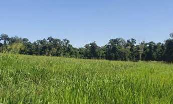 Imagem 3: Sítio em Paranavaí