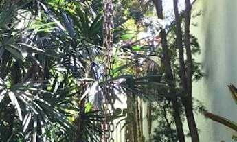 Imagem 7: Lindo Sobrado Bairro Jundiaí