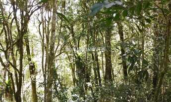 Imagem 6: Terreno com Preço de Oportunidade à Venda no Residencial dos Lagos - Campos do Jordão/SP